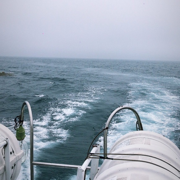 Meet your Posher, Sina - Picture 1 of 1